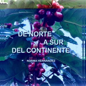 DE NORTE A SUR DEL CONTINENTE